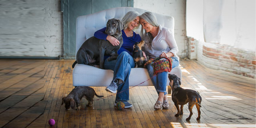 Ömürlük Dostluklar