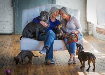 Ömürlük Dostluklar