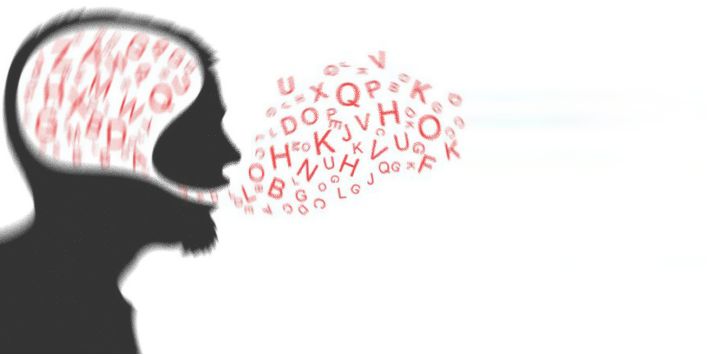 Palavranın Nörobilimi