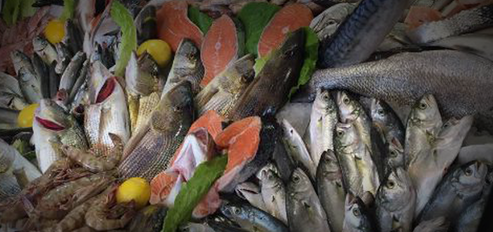 Balık Alırken Nelere Dikkat Etmek Gerekir?