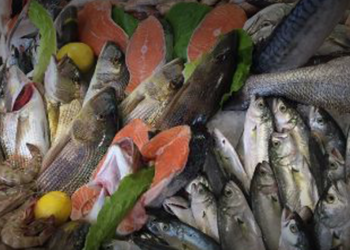 Balık Alırken Nelere Dikkat Etmek Gerekir?