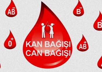 Kan Bağışı Yapmak Sağlıklı mı? 