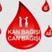 Kan Bağışı Yapmak Sağlıklı mı? 