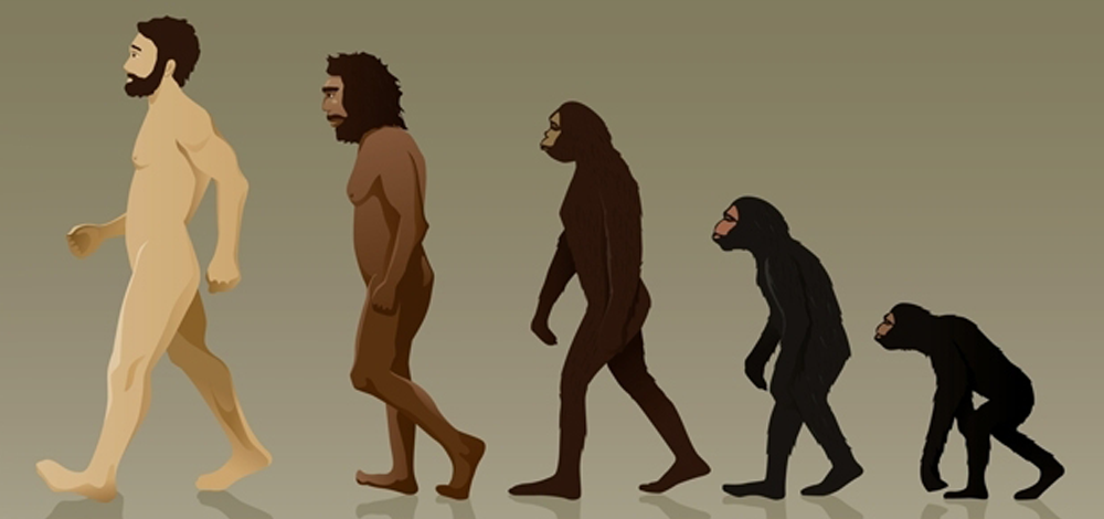 İnsanlar maymunlardan gelen bir tür müydü?