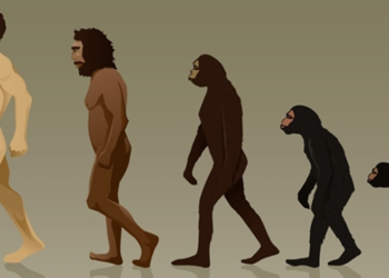 İnsanlar maymunlardan gelen bir tür müydü?