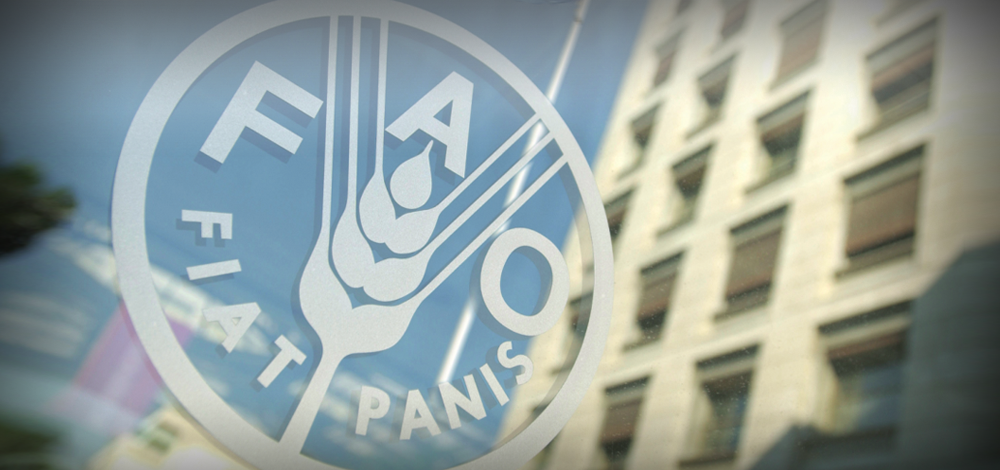FAO açıkladı: Gıda üretiminde deprem kaybı yüzde 20