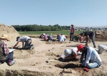 Van kayyumundan bir icraat daha: Arkeolojik kazıyı durdurdu