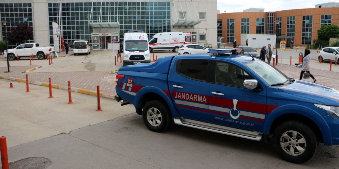 11 yaşındaki çocuğa ayı saldırdı