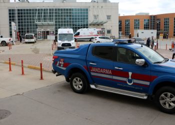 11 yaşındaki çocuğa ayı saldırdı