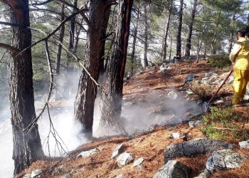 3 haftada yıldırım kaynaklı 28 orman yangını