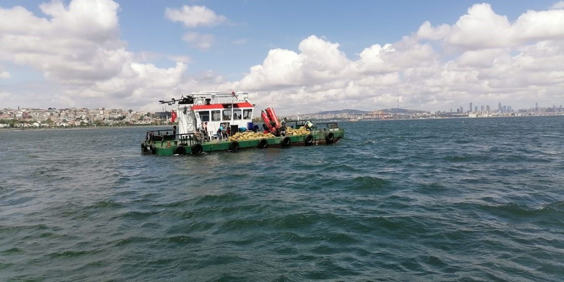 70 ton kaçak midye ele geçirildi: 1 milyon lira ceza