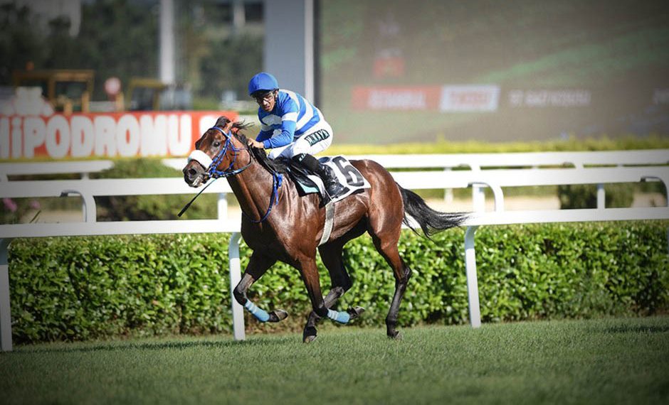 97. Gazi Koşusu’nu Urfa Aslanı kazandı