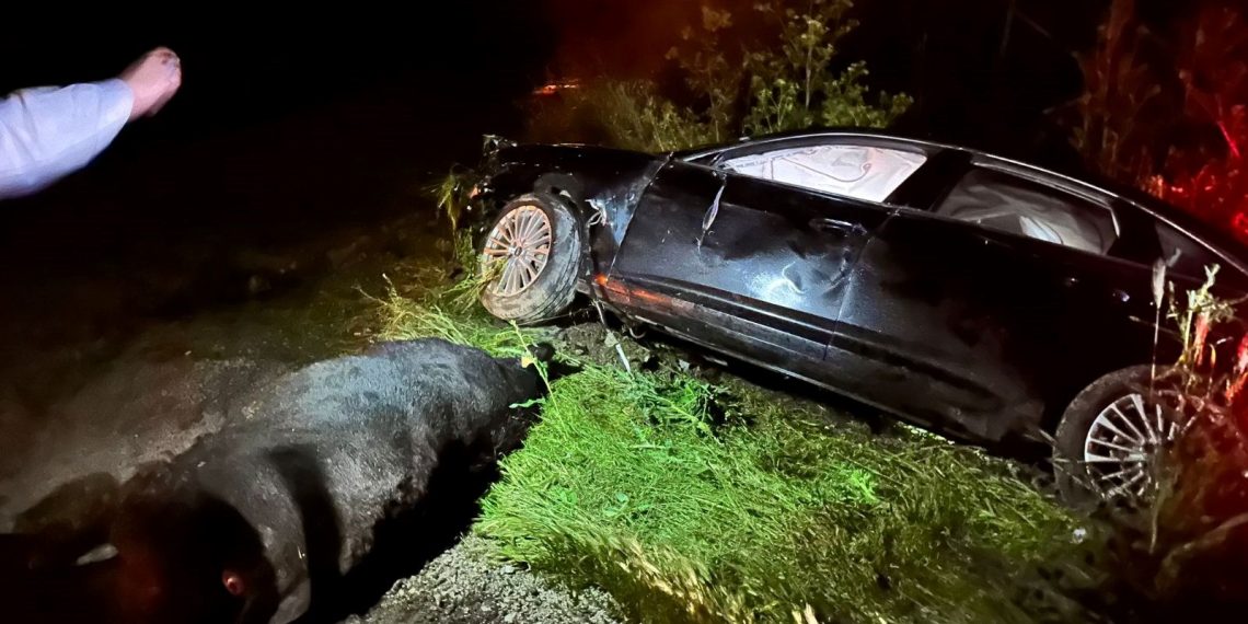 AK Parti Küme Başkanvekili Bahadır Yenişehirlioğlu kaza geçirdi