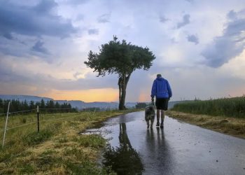 Almanya’da dolu yağışı ve fırtına hayatı olumsuz etkiledi
