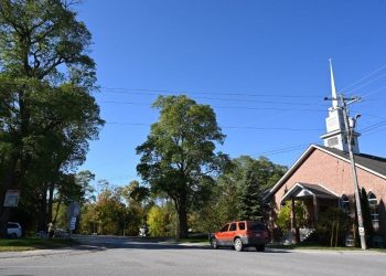 Almanya’da kilisede cinsel istismara 300 bin euro tazminat kararı