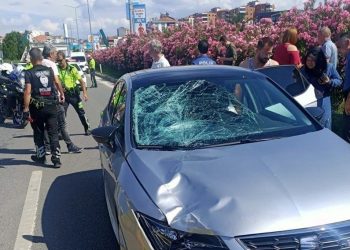 Anneanne ile torununun vefatına neden olan alkollü şoföre 3 yıl 4 ay mahpus
