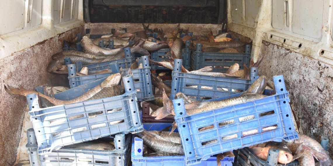 Atatürk Barajı’nda kaçak balık avlayan şahsa 16 bin 561 lira ceza