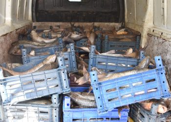 Atatürk Barajı’nda kaçak balık avlayan şahsa 16 bin 561 lira ceza