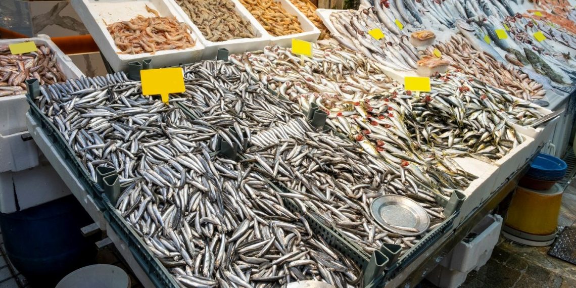 Avlanan iki balıktan biri hamsi oldu