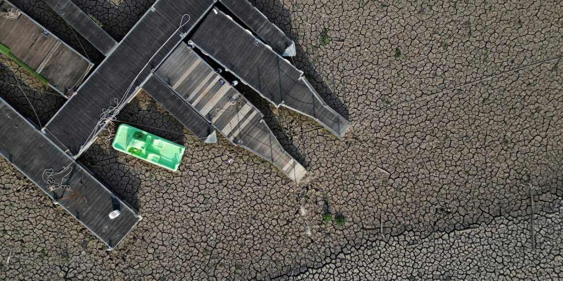 Avrupa’nın meyve-sebze üreticisi sıcaktan yanıyor: Büyük kıtlık yaşayabiliriz