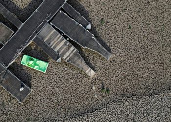 Avrupa’nın meyve-sebze üreticisi sıcaktan yanıyor: Büyük kıtlık yaşayabiliriz