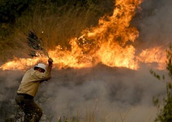 CHP’li belediyelere orman yangını riskine karşı “tedbir” talimatı