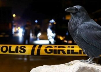 “Dedektif karga”nın getirdiği parmakların otopsi raporu çıktı | İki parmak da neşterle kesilmiş