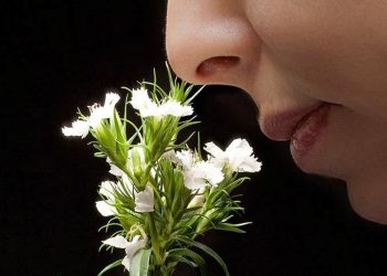 Dikkat çeken Covid-19 araştırması: Milyonlarca kişinin koku duyusu geri gelmedi