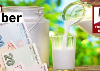 Dünyada Düşüyor, Türkiye’de Değişmiyor; Kriz Süt Fiyatlarını da vurdu!