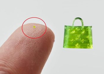 Dünyanın en küçük çantası 63 bin dolara satıldı