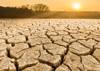 El Nino nedir? El Nino tesirinin detayları