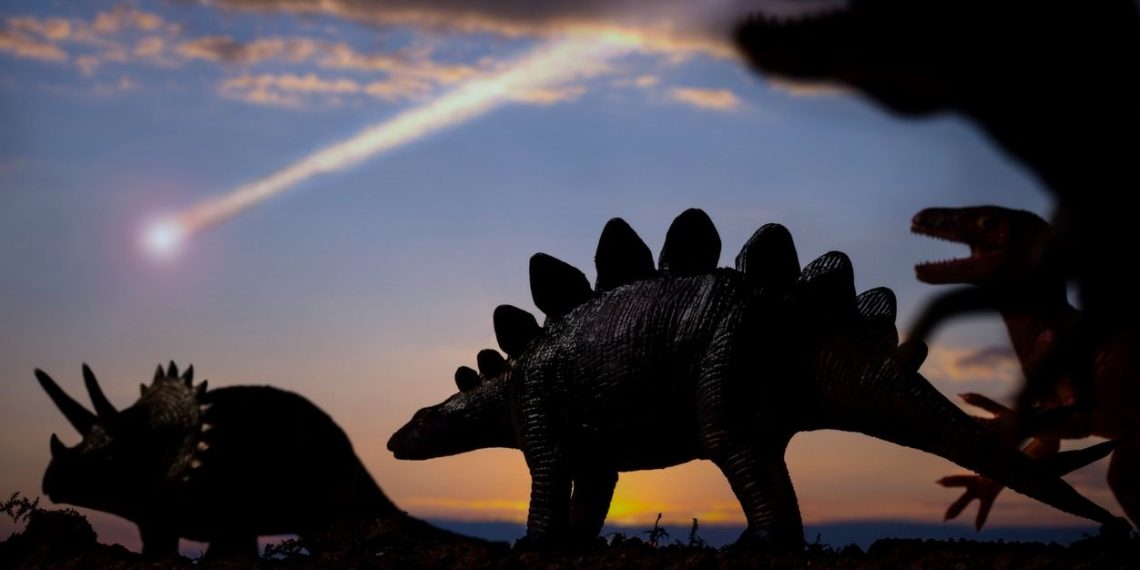 İngiltere’de “zırh derili” yeni dinozor cinsine ilişkin fosil keşfedildi