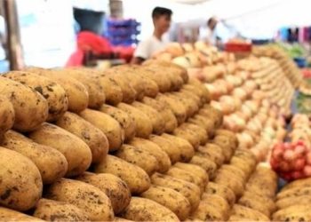 İstanbul’un Mayıs’taki Artırım Şampiyonu Aşikâr Oldu