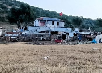 İzmir’de çiftlik meskeninde cinayet