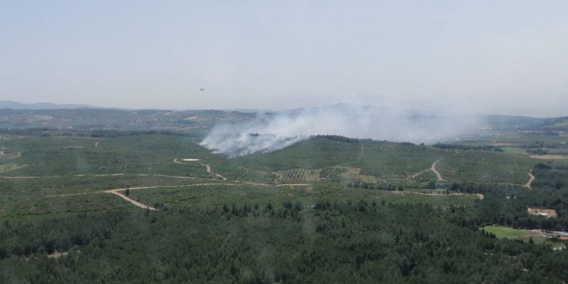 İzmir’de orman yangını
