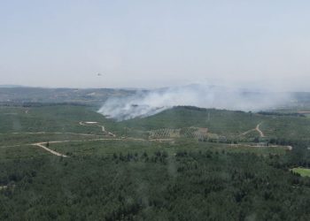 İzmir’de orman yangını