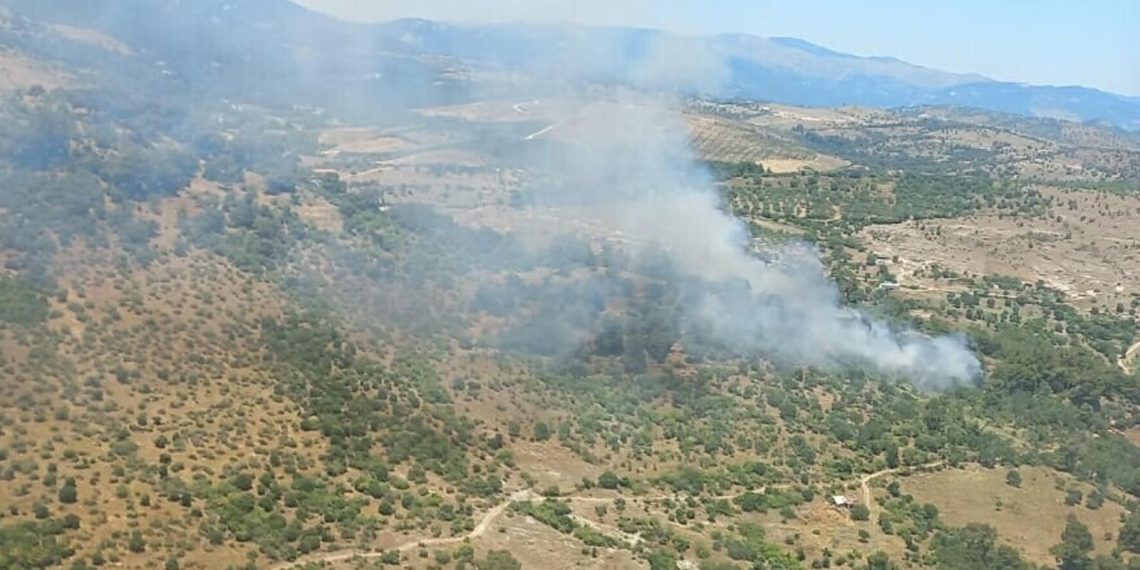 İzmir’de orman yangını
