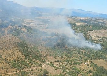 İzmir’de orman yangını
