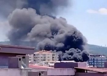 İzmir’de park yangını | Dumanlar birçok yerden görüldü