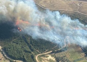 İzmir’deki orman yangını denetim altında