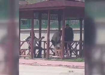 Köpeğe kemerle azaba gözaltı