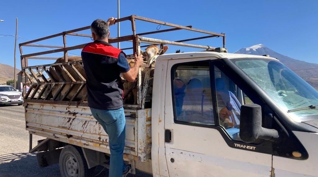 Kurban Bayramı öncesi bakanlıktan kontrol