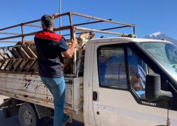 Kurban Bayramı öncesi bakanlıktan kontrol