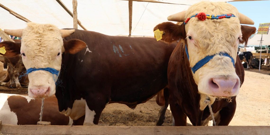 Kurban bölümünde kurallara uymayanlara para cezası