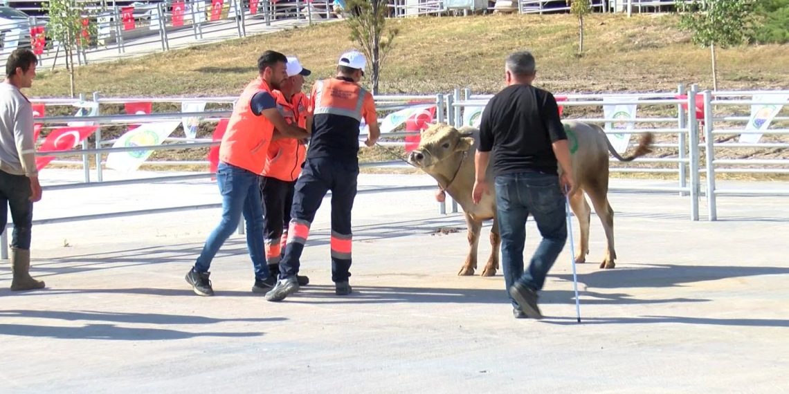 “Kurban yakalama timi” vazifeye hazır