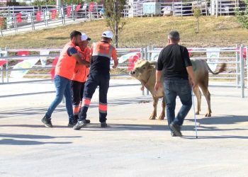 “Kurban yakalama timi” vazifeye hazır