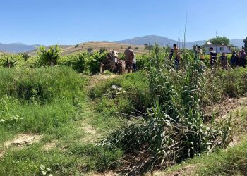 Kuşu vurmak isterken komşusunu öldürdü