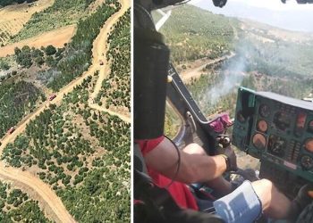 Manisa’da orman yangını