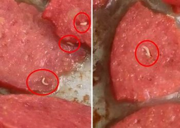 Marketten aldığı sucuğun içinden kurtçuk fışkırdı