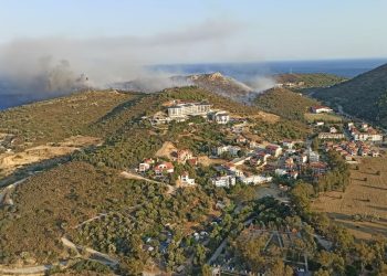 Muğla’da orman yangını